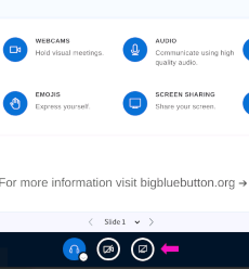 Share Screen